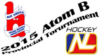 2015 Atom B Tournament - Bay Arena